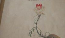阿狸四格漫画,温馨日常，治愈心灵