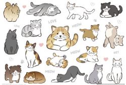 猫漫画手绘,猫漫画里的奇幻世界